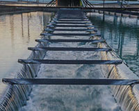 Πισίνα - SPA - Συντριβάνι